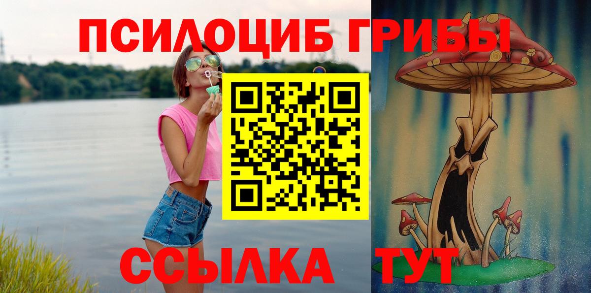 Кубинка  Псилоцибиновые грибы GOLDEN TEACHER  Вход с VPN  Псилоцибиновые грибы мицелий 