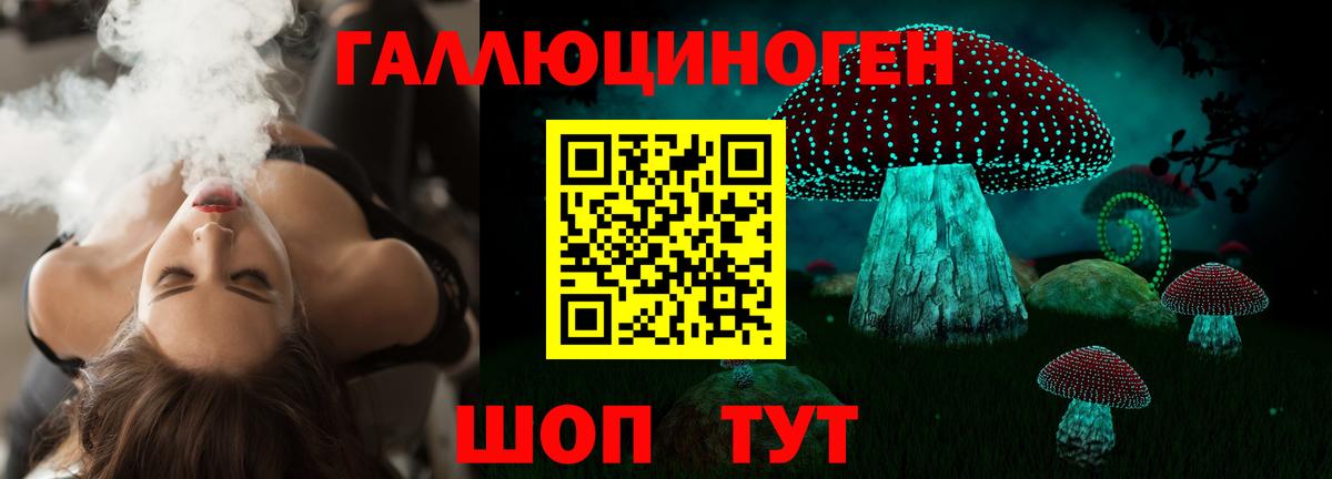 Псилоцибиновые грибы Psilocybine cubensis Кубинка